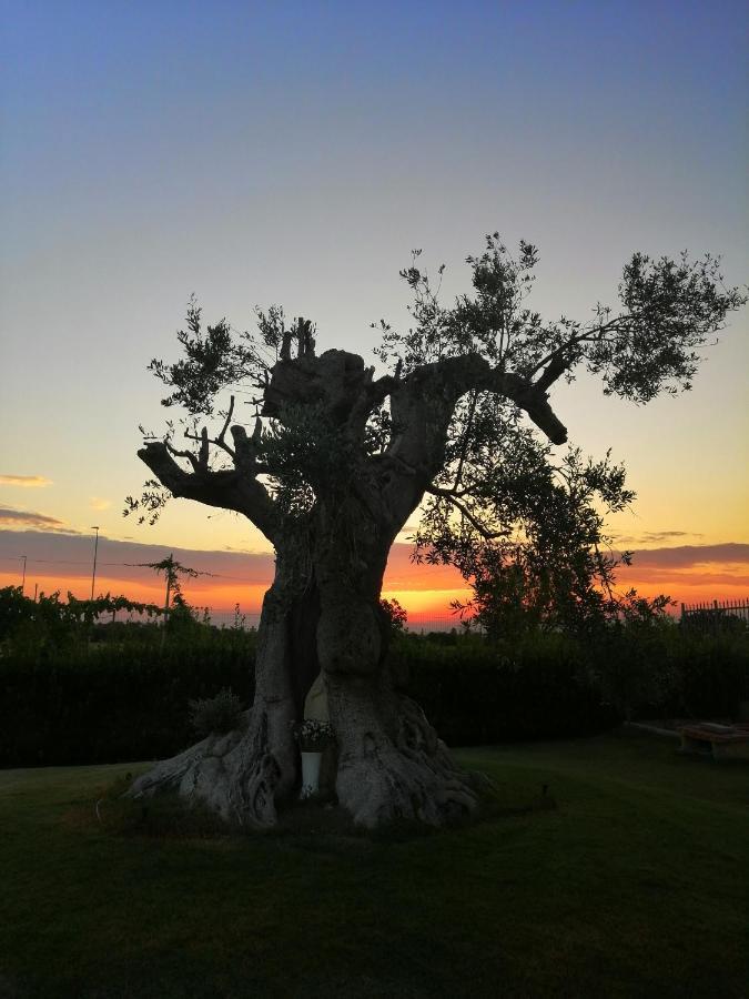 B&B Mareen Santa Maria al Bagno Buitenkant foto