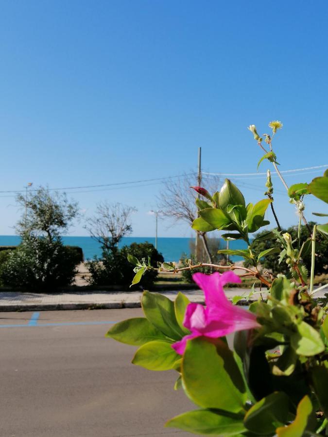 B&B Mareen Santa Maria al Bagno Buitenkant foto
